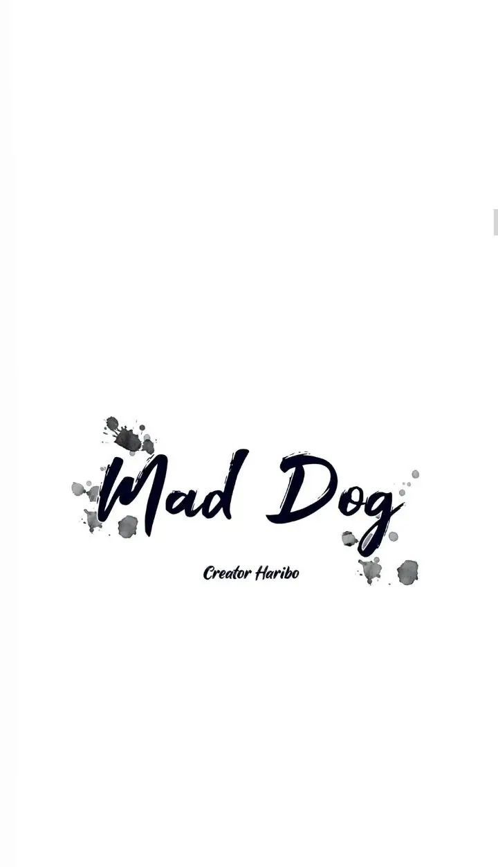 Read Mad Dog chapter 13 image 14 on Lezhin