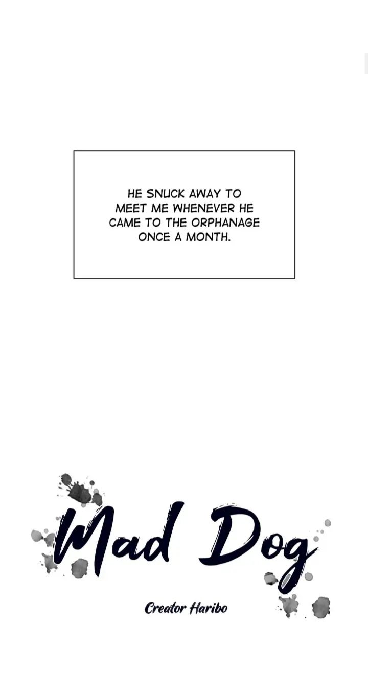 Read Mad Dog chapter 29 image 5 on Lezhin
