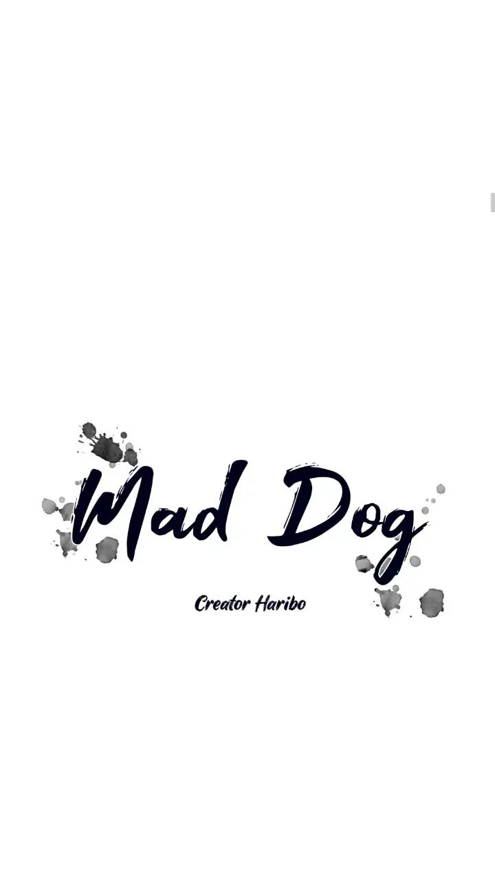 Read Mad Dog chapter 31 image 17 on Lezhin