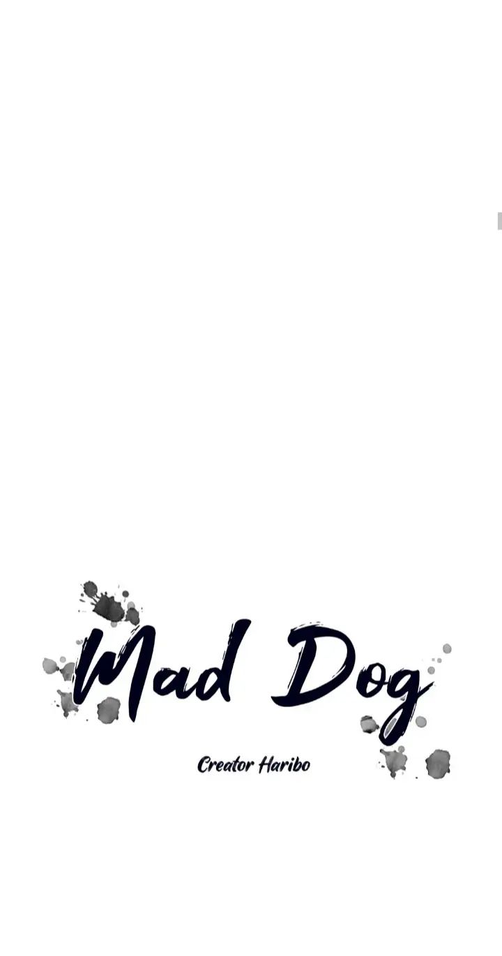 Read Mad Dog chapter 35 image 18 on Lezhin