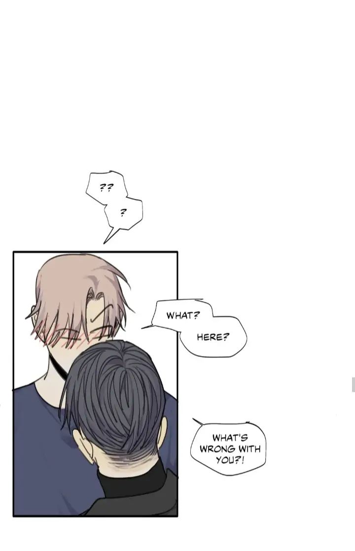 Read Mad Dog chapter 40 image 37 on Lezhin