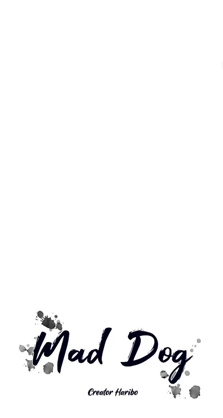 Read Mad Dog chapter 41 image 13 on Lezhin