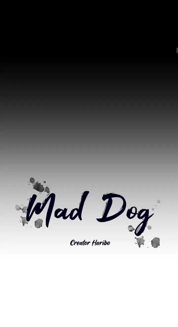 Read Mad Dog chapter 43 image 15 on Lezhin
