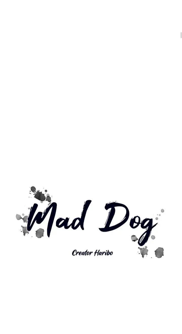 Read Mad Dog chapter 46 image 8 on Lezhin