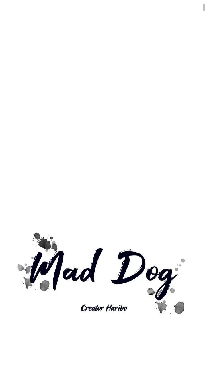 Read Mad Dog chapter 51 image 1 on Lezhin