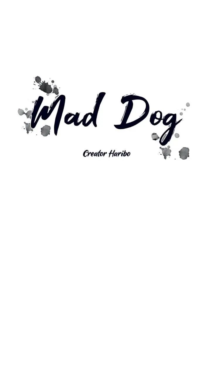 Read Mad Dog chapter 8 image 1 on Lezhin
