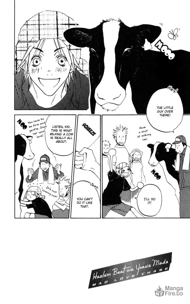 Read Mad Love Chase chapter 12 image 4 on Lezhin