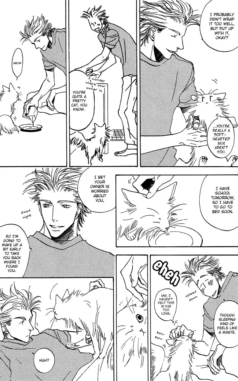 Read Mad Love Chase chapter 8 image 13 on Lezhin