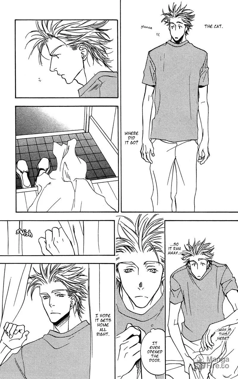 Read Mad Love Chase chapter 8 image 19 on Lezhin