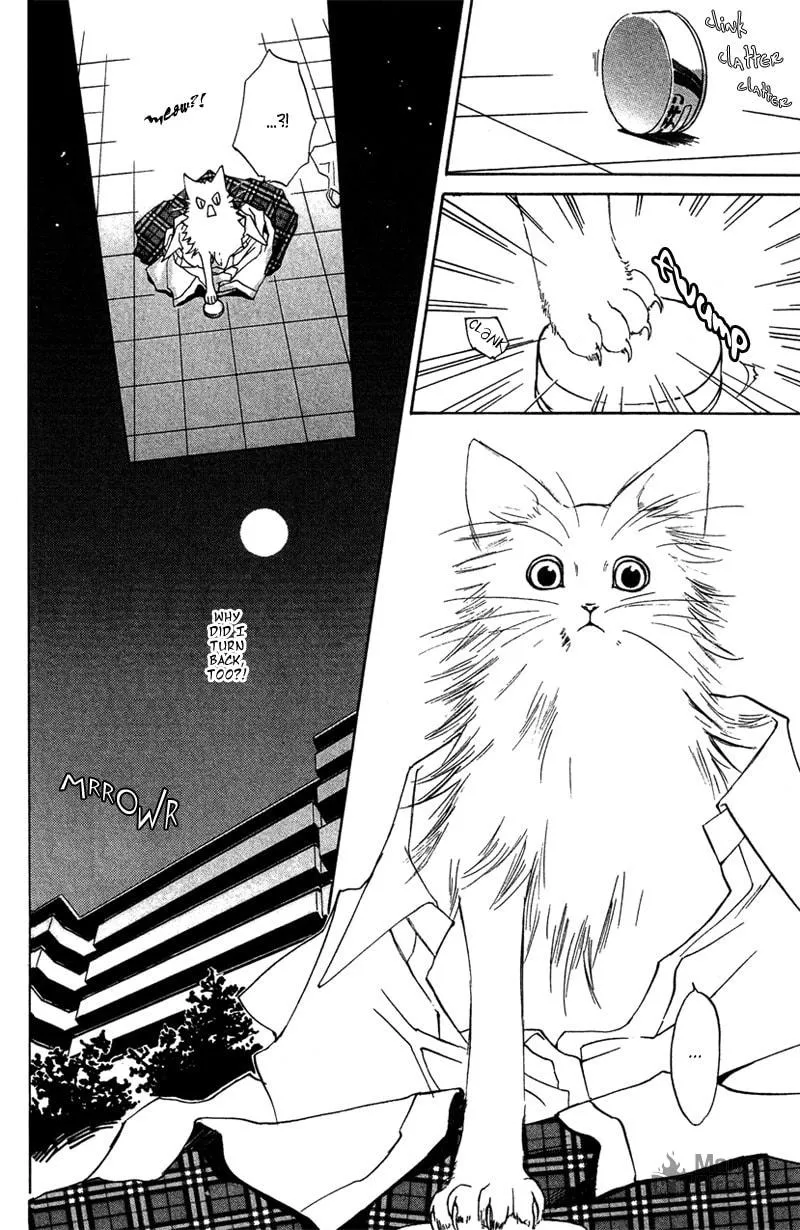 Read Mad Love Chase chapter 8 image 2 on Lezhin