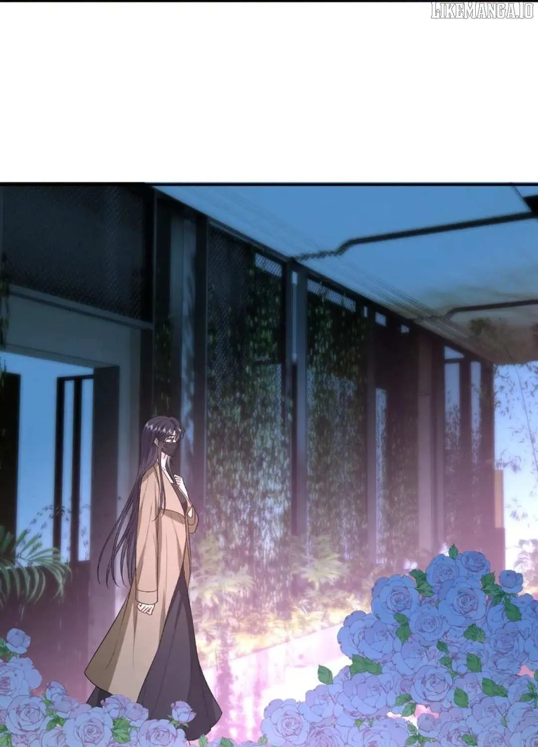 Madam and Her Daily Online Face-Slapping Chapter 203 page 20 - 