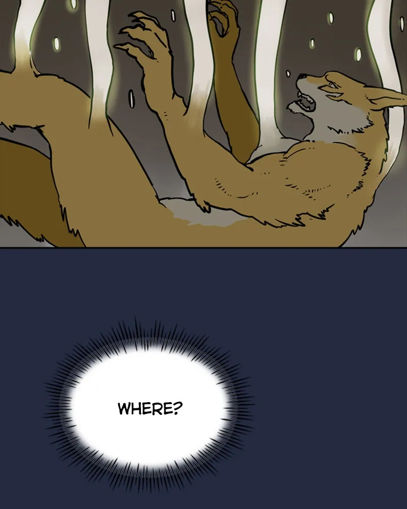 Read Mage Again chapter 27 image 6 on Lezhin