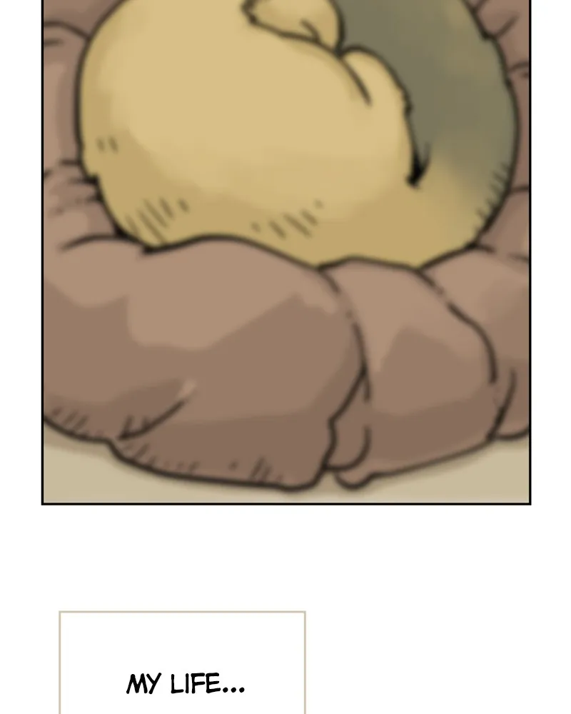 Read Mage Again chapter 31 image 12 on Lezhin