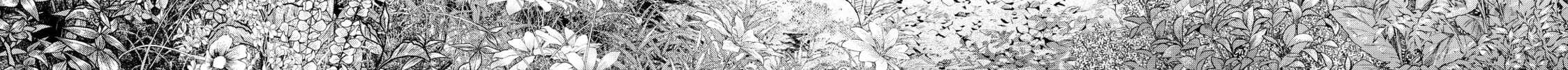 Magus of the Library Chapter 1 page 38 - 