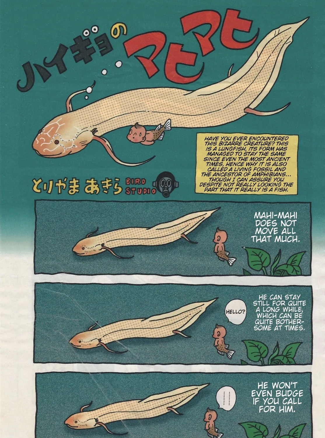 Read Mahimahi the Lungfish (Colored) chapter 0 image 3 on Lezhin