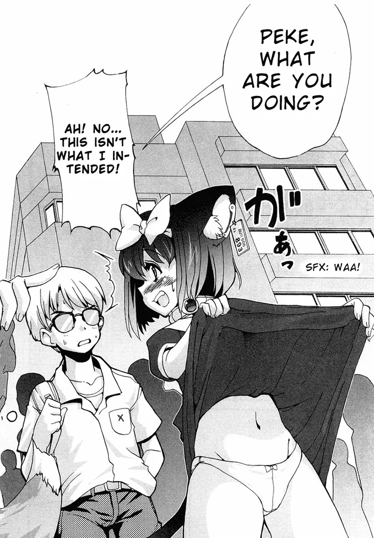 Read Mahou Shoujo Neko X chapter 3 image 22 on Lezhin