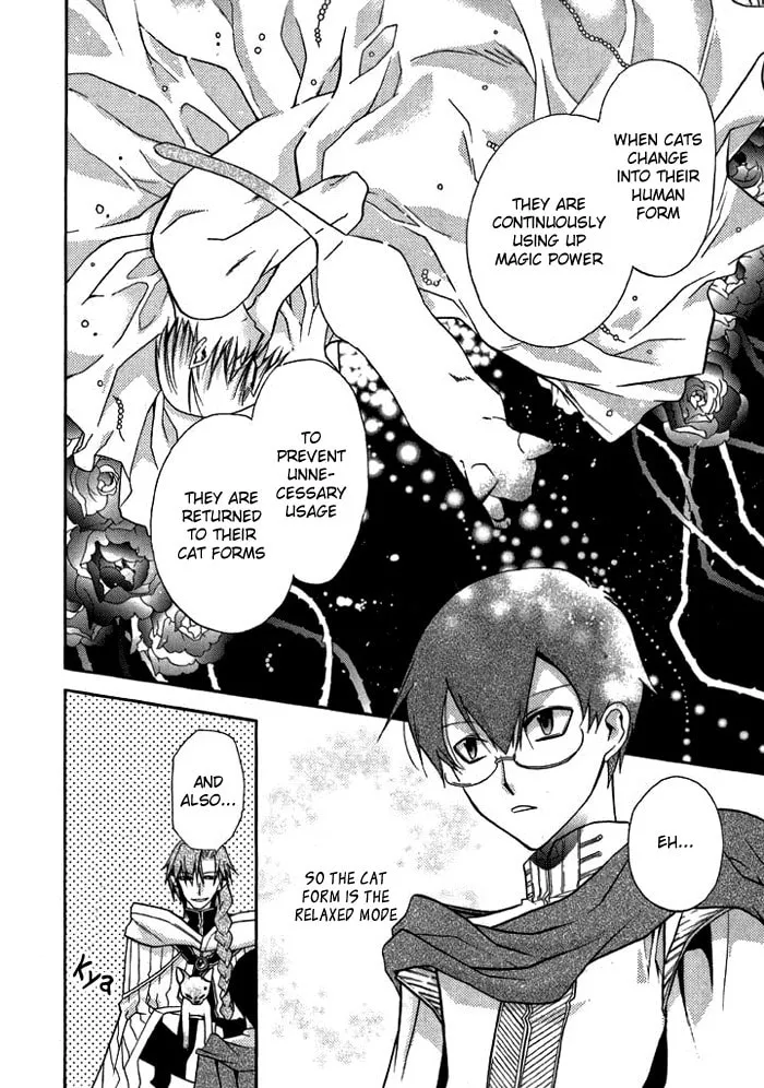 Read Mahoutsukai no Neko chapter 13.5 image 3 on Lezhin