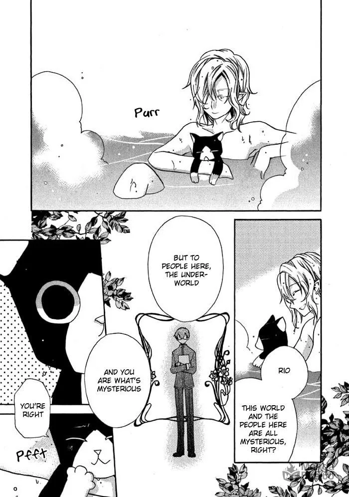 Read Mahoutsukai no Neko chapter 13.5 image 8 on Lezhin