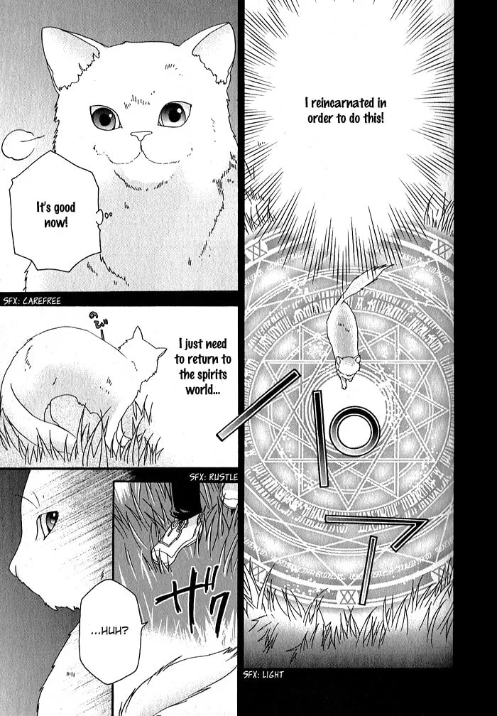 Read Mahoutsukai no Neko chapter 32 image 10 on Lezhin
