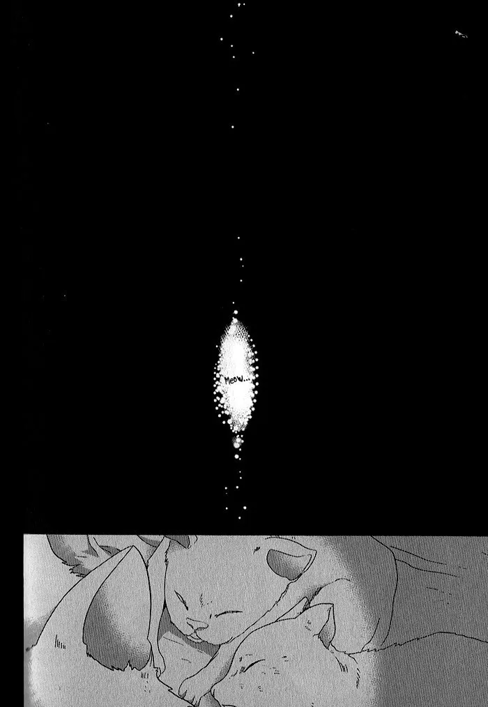 Read Mahoutsukai no Neko chapter 32 image 7 on Lezhin