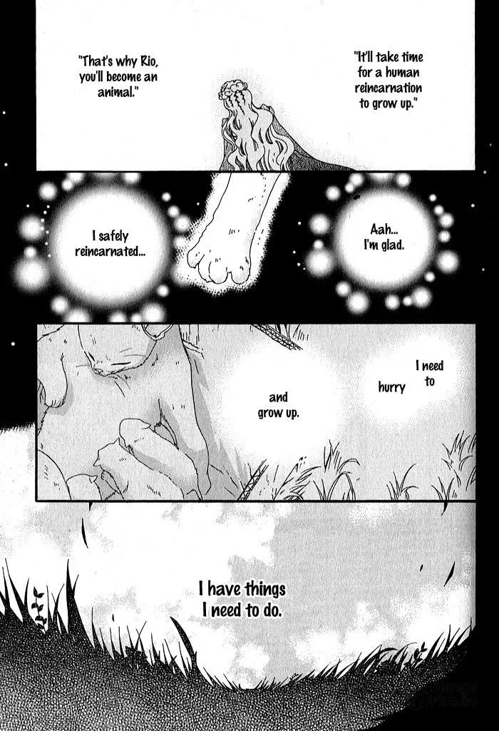 Read Mahoutsukai no Neko chapter 32 image 8 on Lezhin