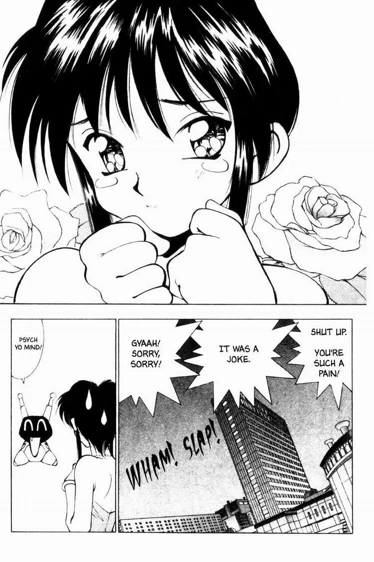Maico 2010 Chapter 14 page 4 - 