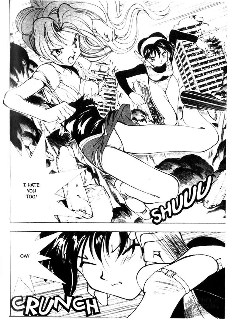 Maico 2010 Chapter 16 page 3 - 