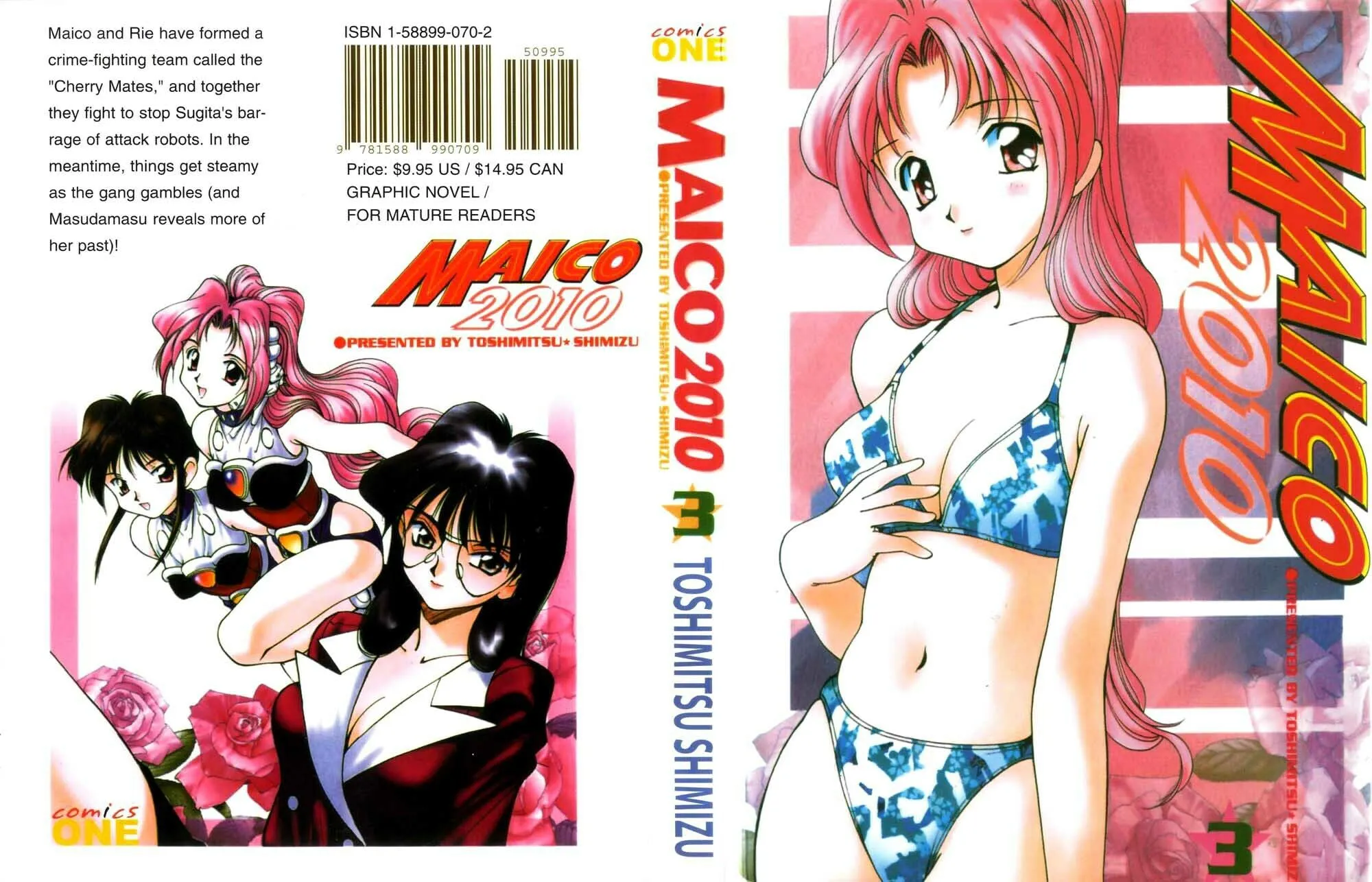 Maico 2010 Chapter 19 page 17 - 