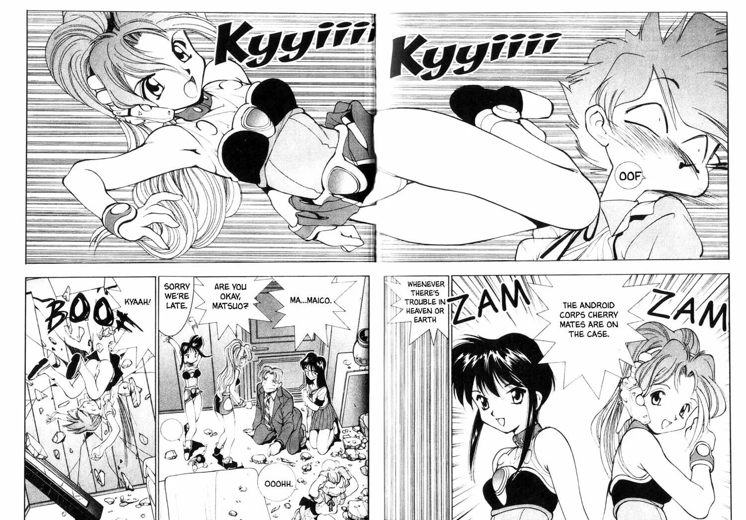 Maico 2010 Chapter 24 page 8 - 