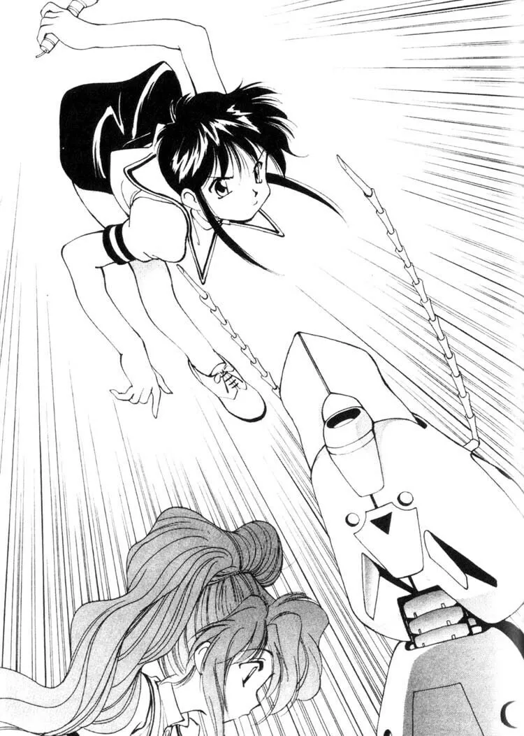 Maico 2010 Chapter 25 page 16 - 