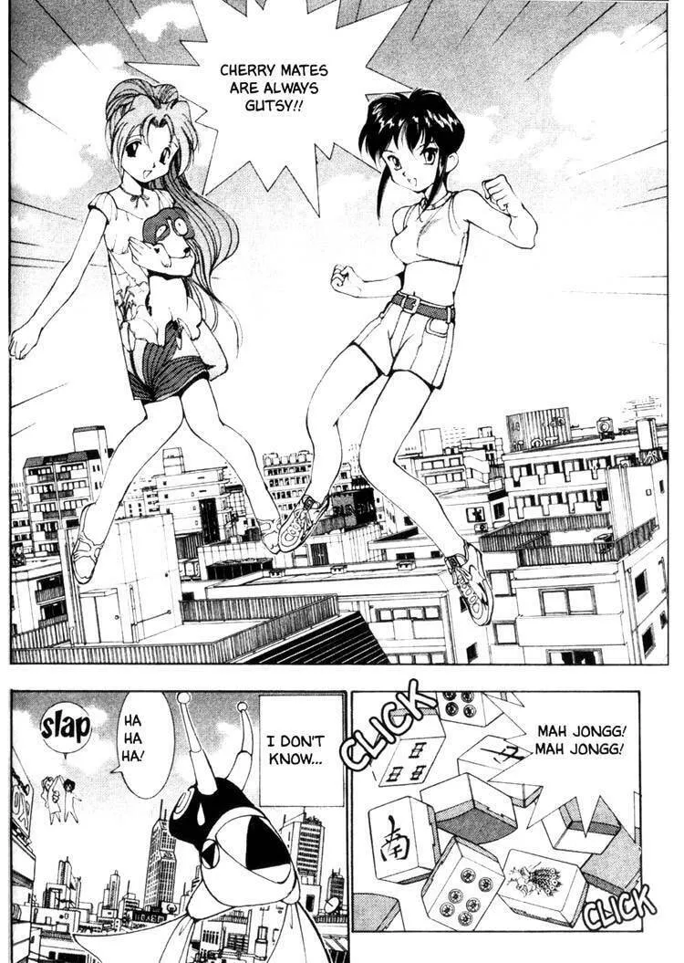 Maico 2010 Chapter 29 page 13 - 