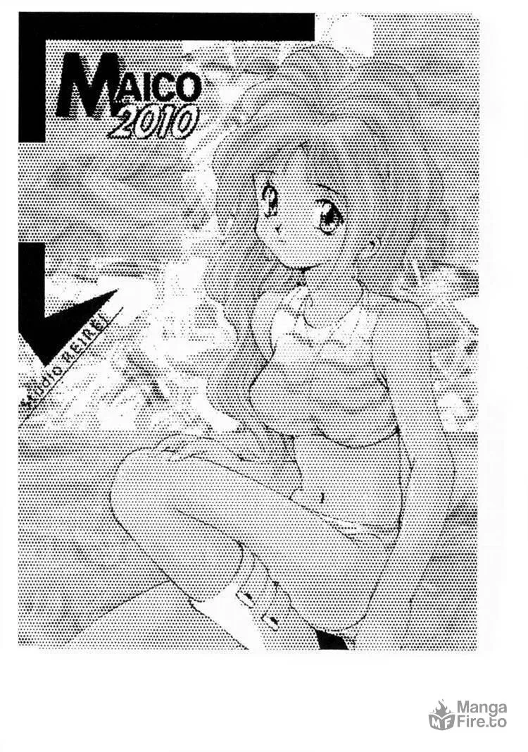 Maico 2010 Chapter 29 page 20 - 