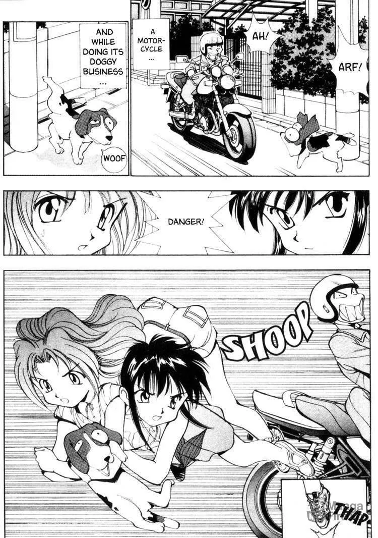 Maico 2010 Chapter 29 page 10 - 