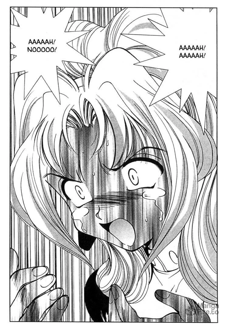 Maico 2010 Chapter 34 page 15 - 