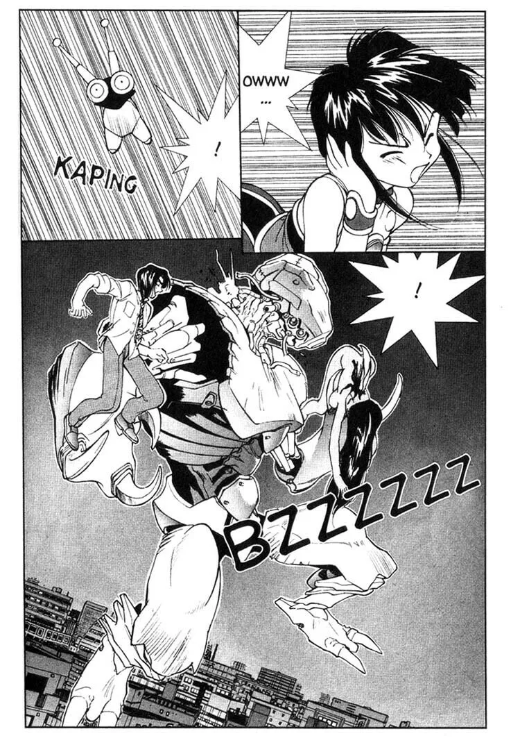 Maico 2010 Chapter 34 page 16 - 