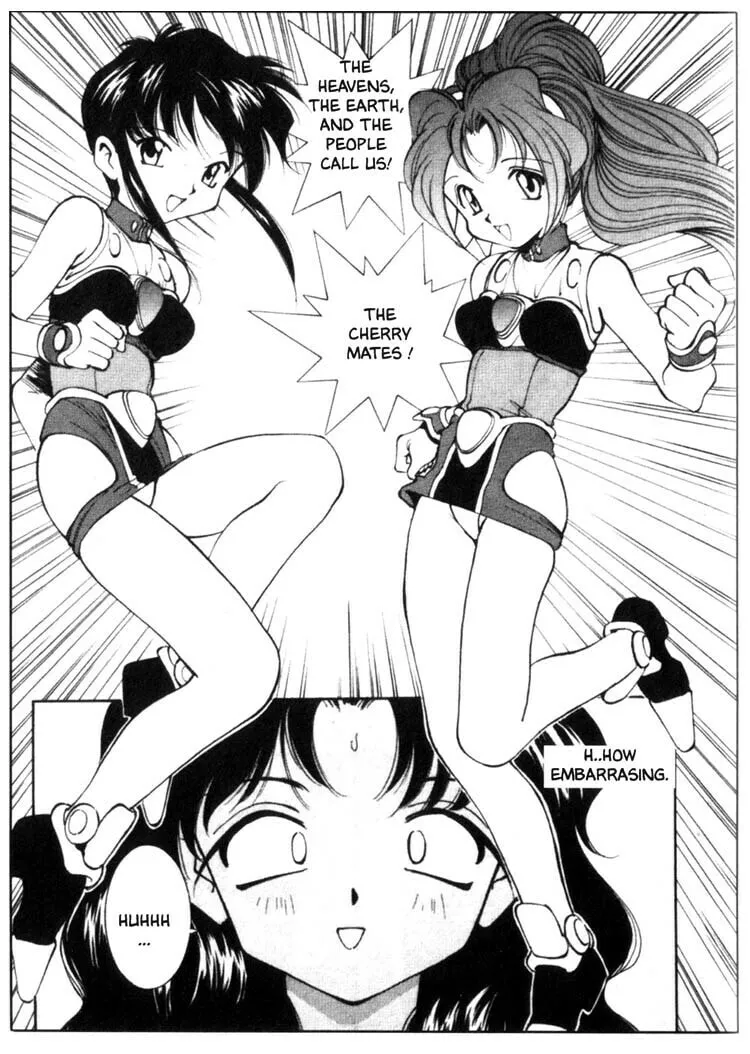 Maico 2010 Chapter 34 page 7 - 