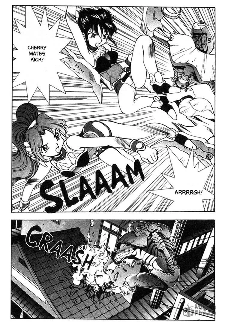 Maico 2010 Chapter 34 page 9 - 