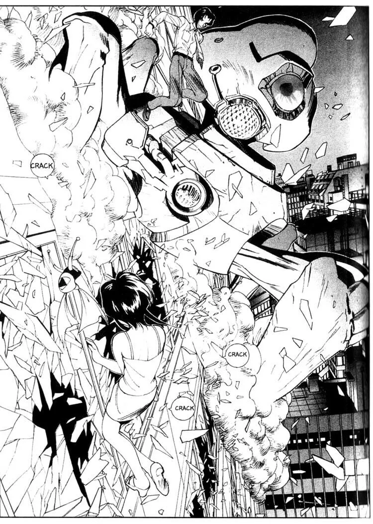 Maico 2010 Chapter 36 page 8 - 