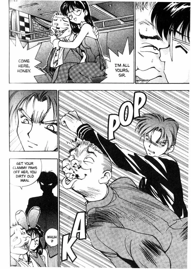Maico 2010 Chapter 7 page 17 - 