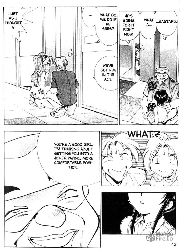 Maico 2010 Chapter 9 page 15 - 