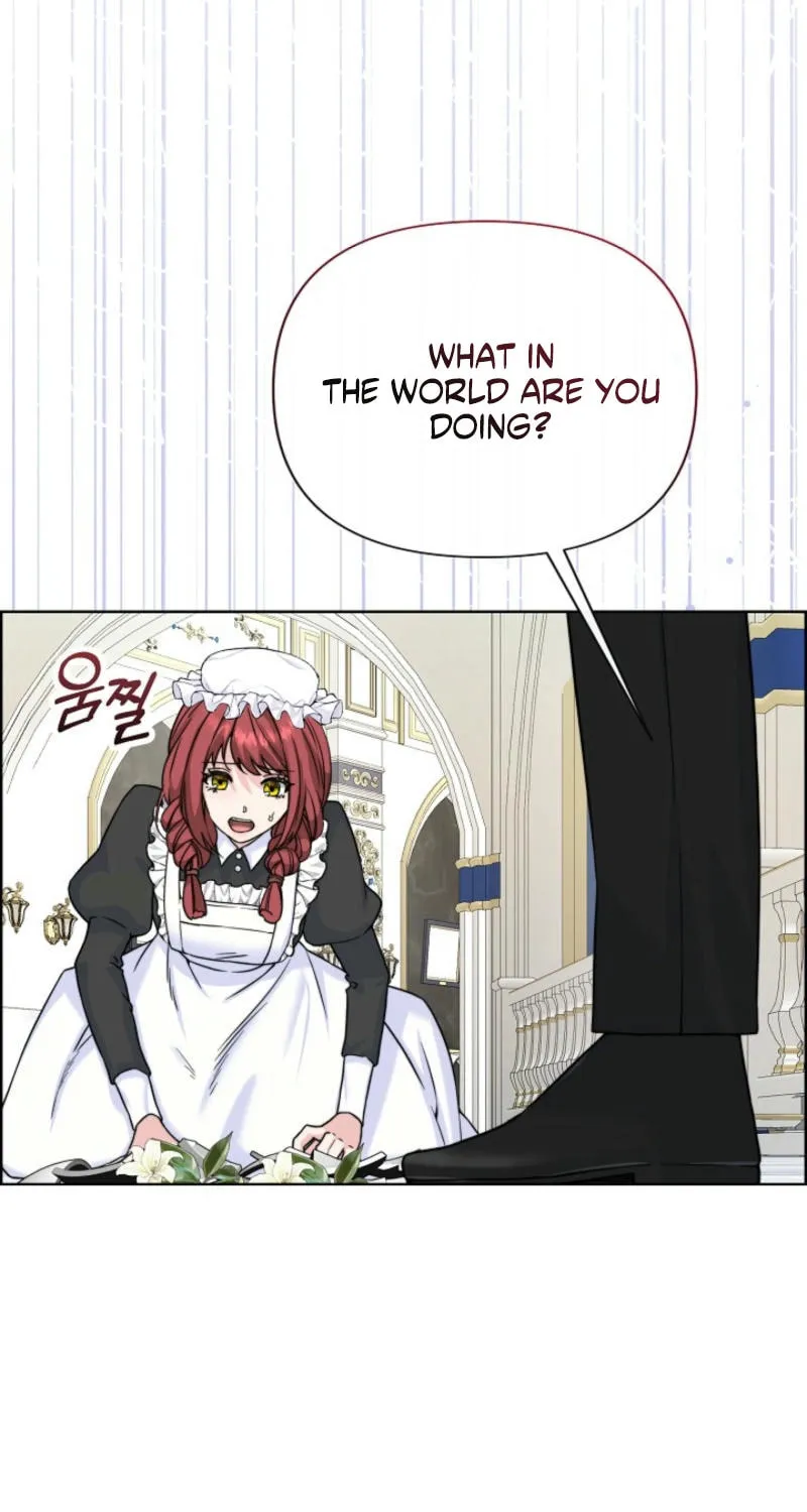 Maid's Night Chapter 3 page 36 - 