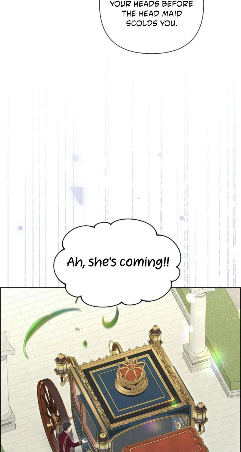 Maid's Night Chapter 4 page 43 - 