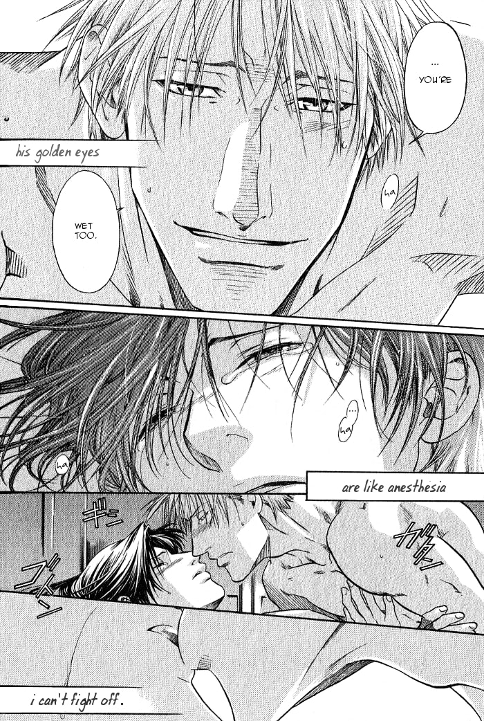 Read Maiden Rose chapter 11.6 image 21 on Lezhin