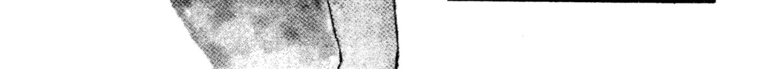 Read Maison Ikkoku chapter 57 image 7 on Lezhin