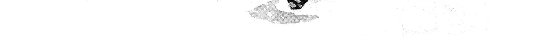 Read Maison Ikkoku chapter 71 image 1 on Lezhin