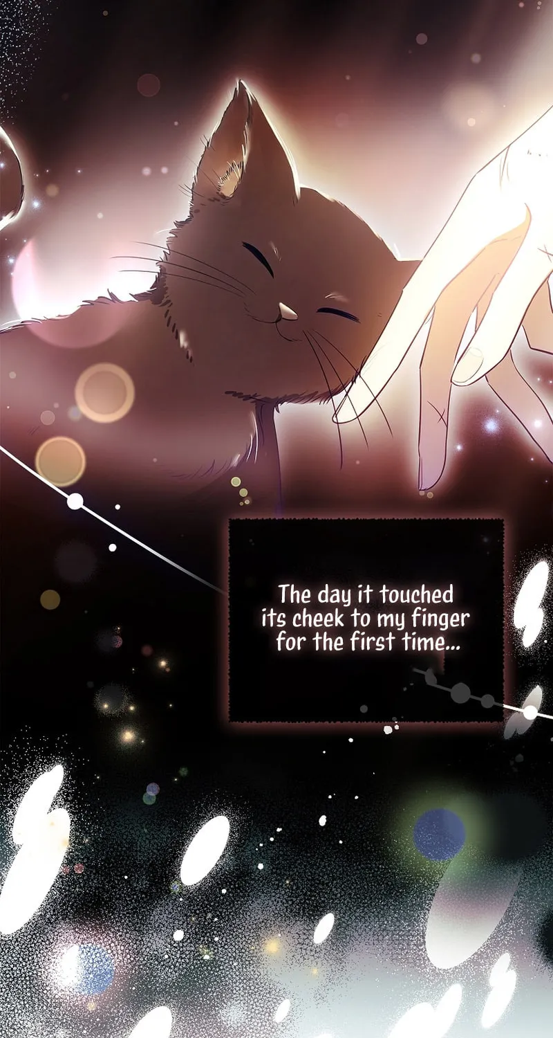 Male Lead, I'll Respect Your Taste Chapter 8 page 6 - 