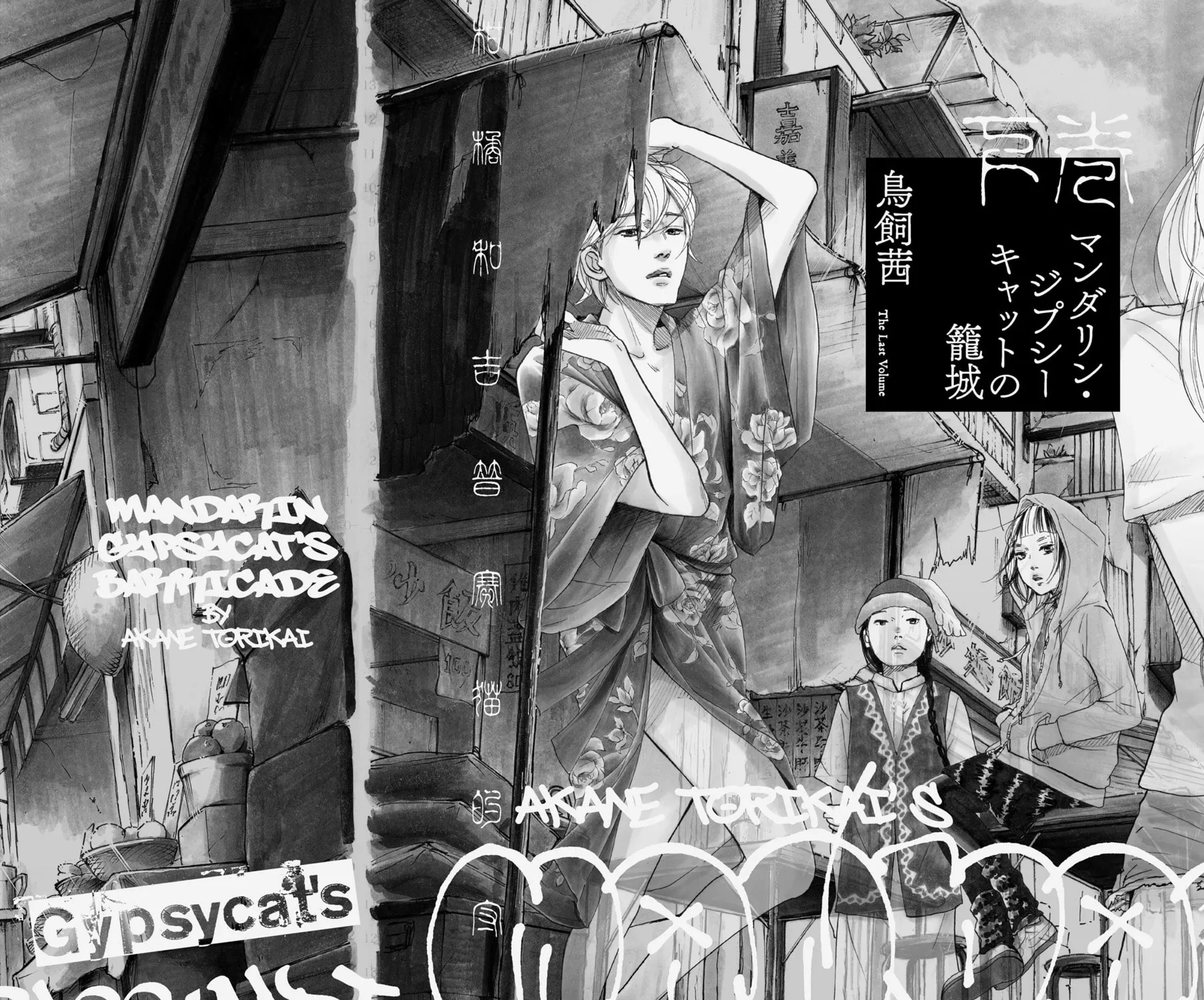Read Mandarin Gypsy Cat