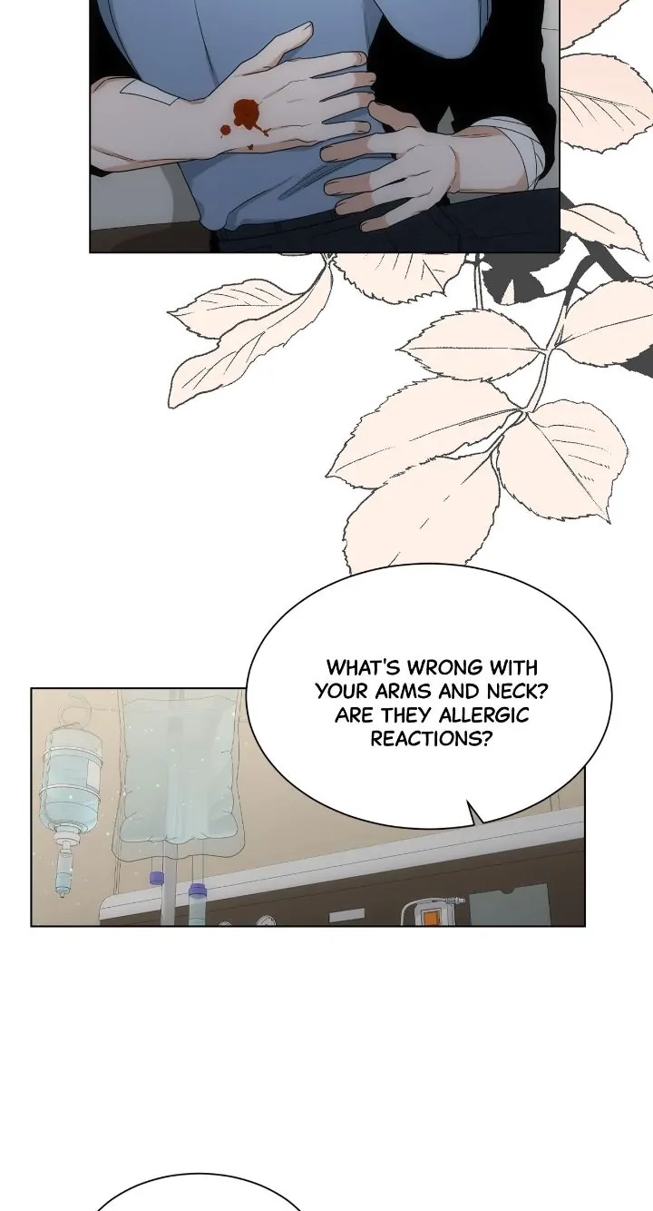 Read Manhattan Romance chapter 48 image 42 on Lezhin