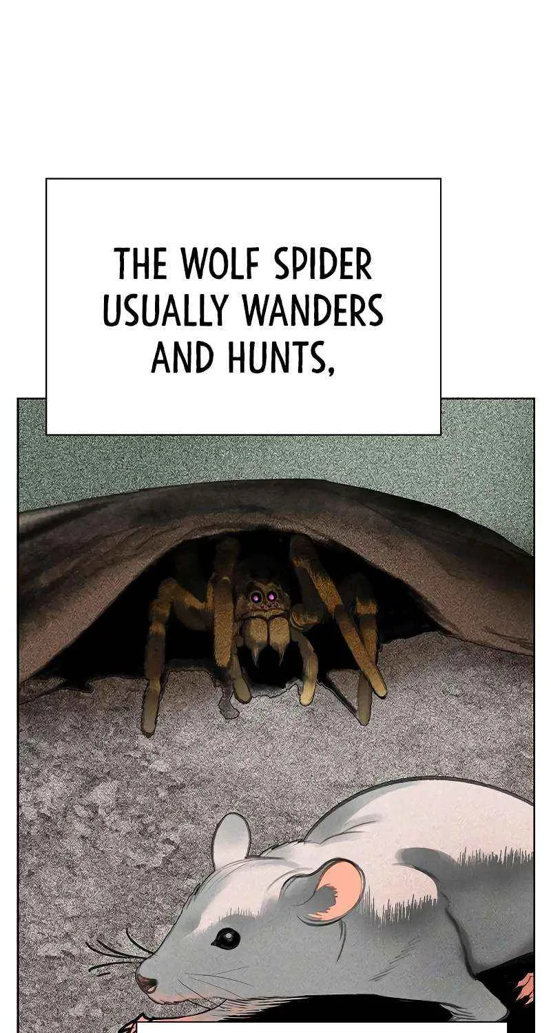 Manhwa Jungle Juice Chapter 105 page 47 - 