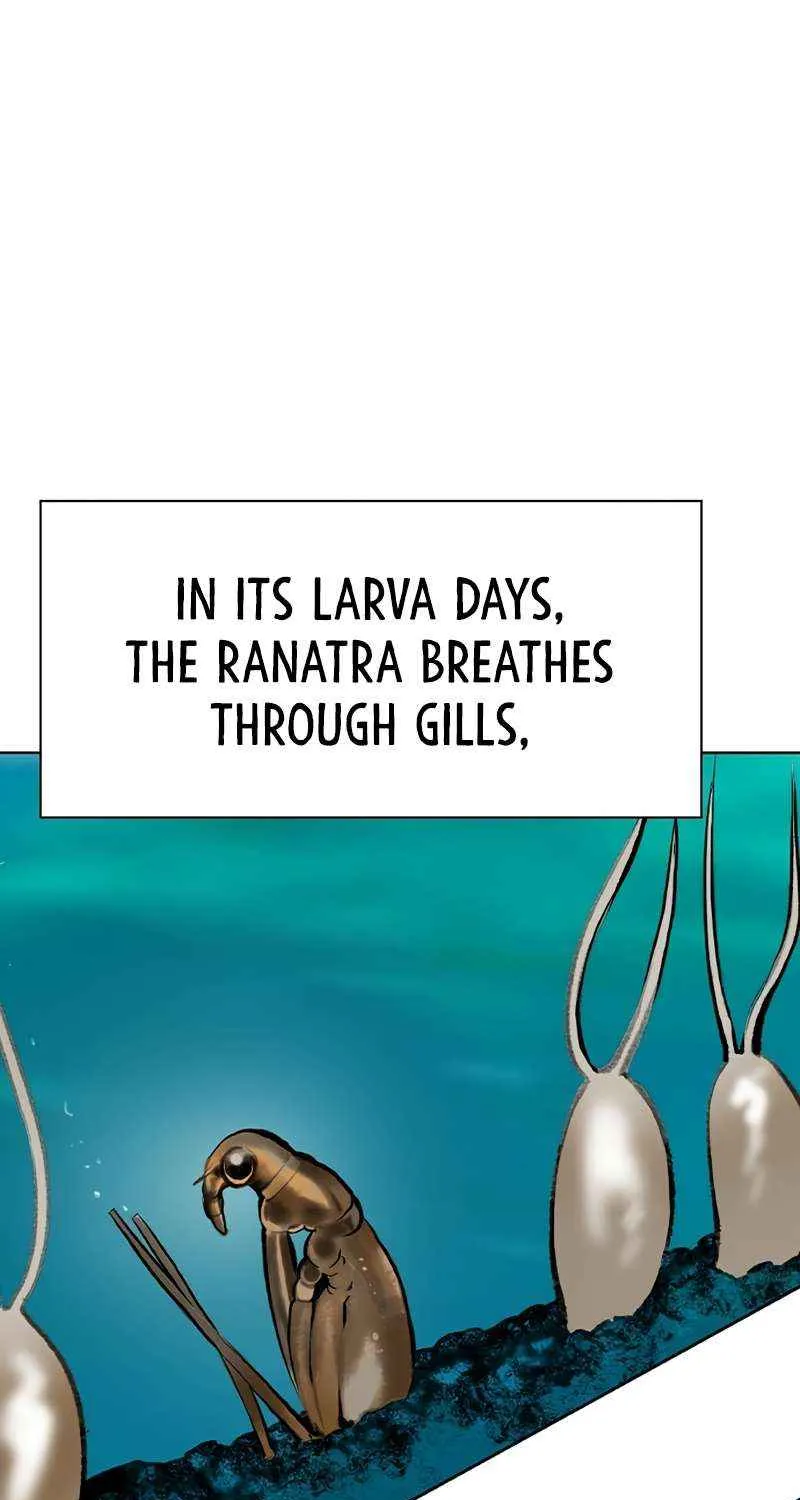 Manhwa Jungle Juice Chapter 106 page 13 - 